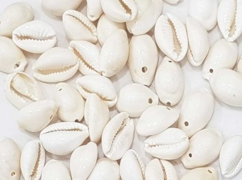 White Color Natural Single Drilled Hole Natural Cowrie Kauri Shell Beads for Adornment Beads/Jewellery Making